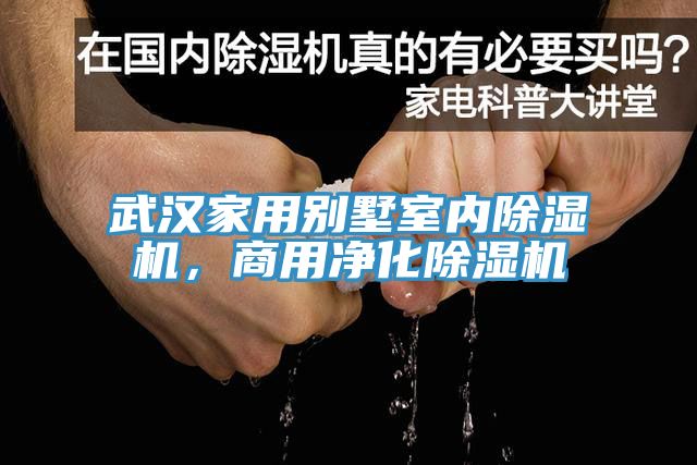 武漢家用別墅室內(nèi)除濕機，商用凈化除濕機