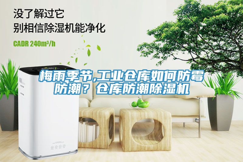 梅雨季節(jié),工業(yè)倉庫如何防霉防潮？倉庫防潮除濕機(jī)