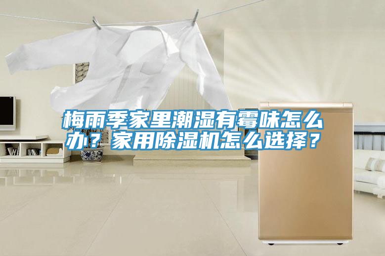 梅雨季家里潮濕有霉味怎么辦？家用除濕機(jī)怎么選擇？