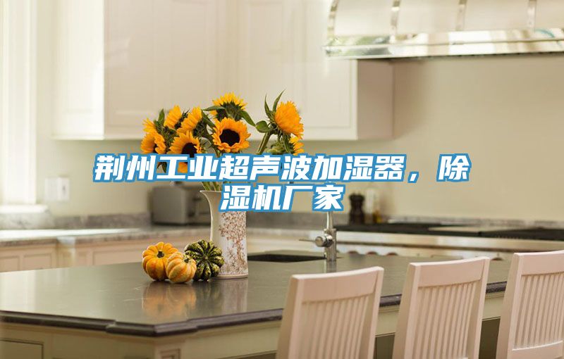 荊州工業(yè)超聲波加濕器，除濕機(jī)廠家