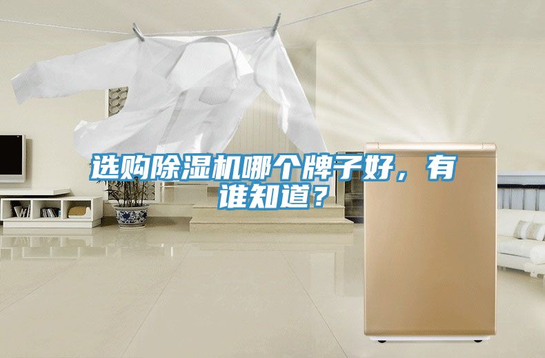選購(gòu)除濕機(jī)哪個(gè)牌子好，有誰(shuí)知道？