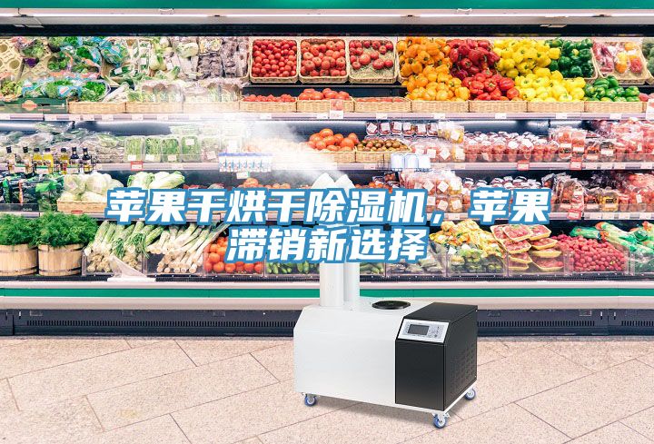 蘋(píng)果干烘干除濕機(jī)，蘋(píng)果滯銷(xiāo)新選擇