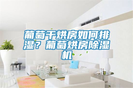 葡萄干烘房如何排濕？葡萄烘房除濕機