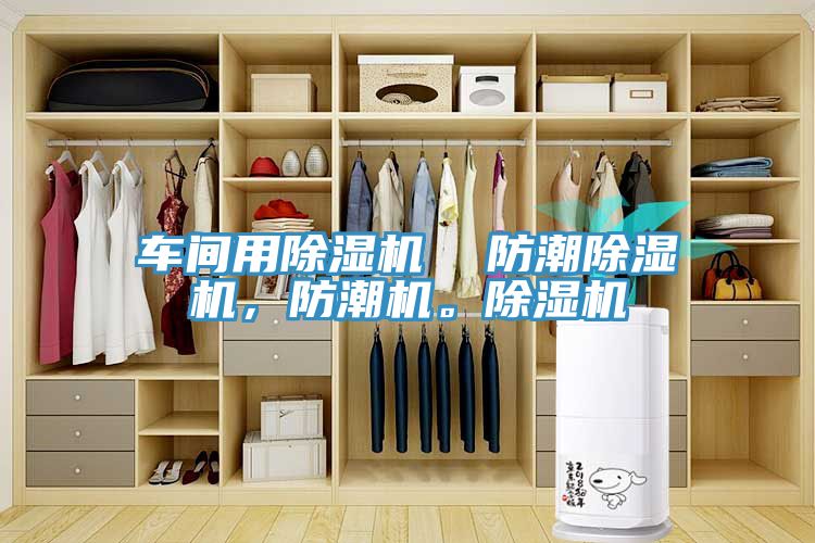 車間用除濕機(jī)  防潮除濕機(jī)，防潮機(jī)。除濕機(jī)