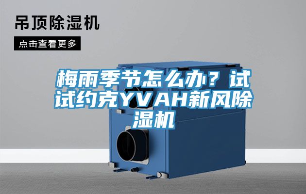 梅雨季節(jié)怎么辦？試試約克YVAH新風(fēng)除濕機(jī)