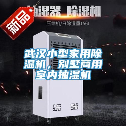 武漢小型家用除濕機，別墅商用室內(nèi)抽濕機