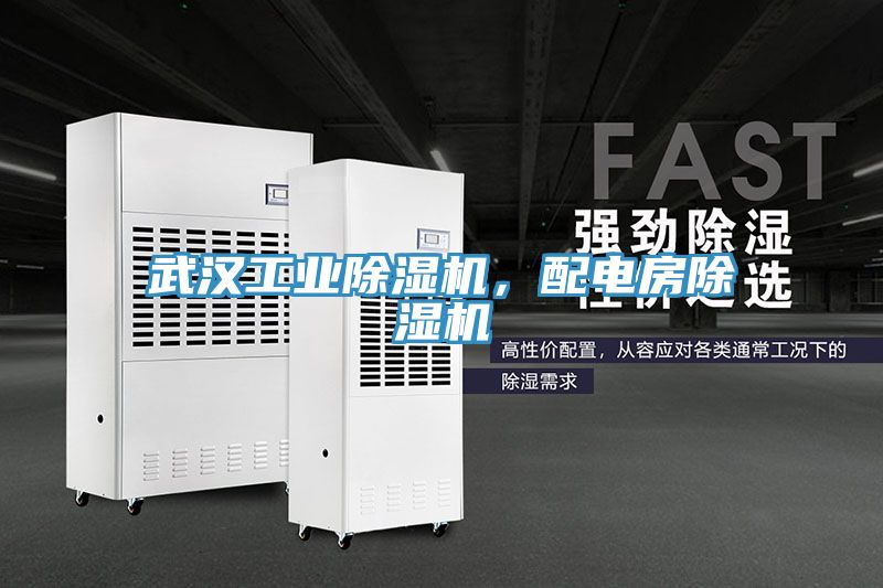武漢工業(yè)除濕機，配電房除濕機