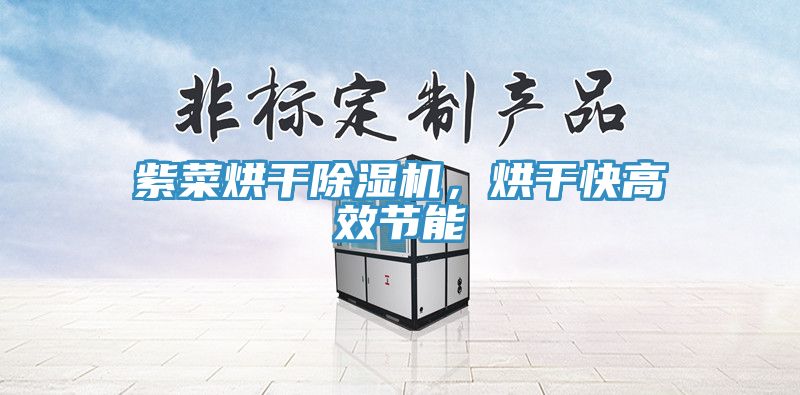 紫菜烘干除濕機，烘干快高效節(jié)能