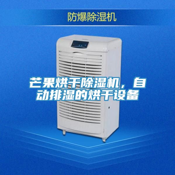 芒果烘干除濕機(jī)，自動(dòng)排濕的烘干設(shè)備