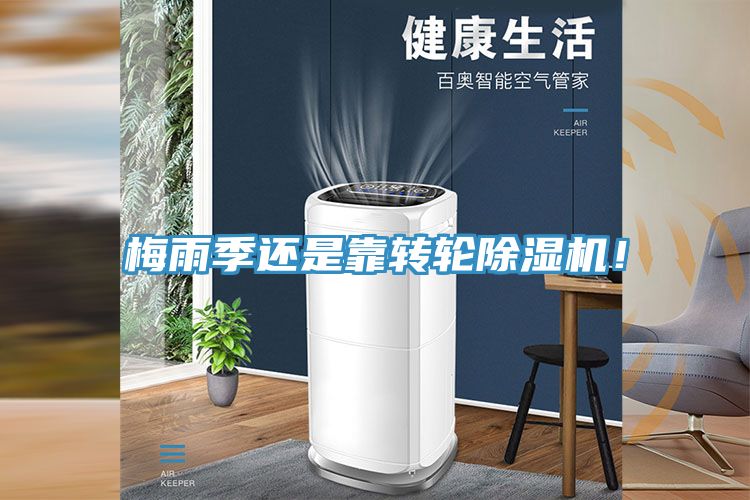 梅雨季還是靠轉(zhuǎn)輪除濕機(jī)！