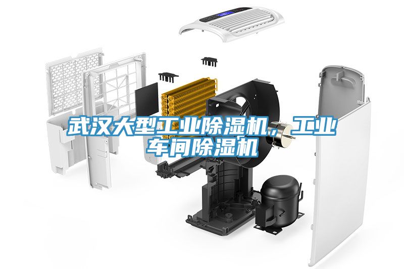 武漢大型工業(yè)除濕機，工業(yè)車間除濕機