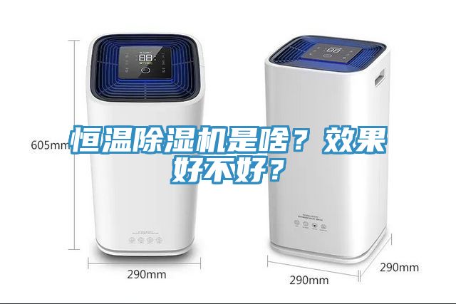 恒溫除濕機是啥？效果好不好？