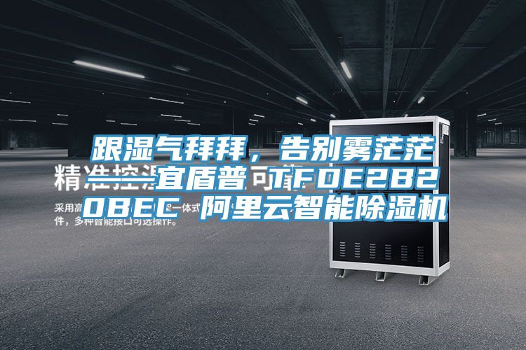 跟濕氣拜拜，告別霧茫?！硕芷?TFDE2B20BEC 阿里云智能除濕機