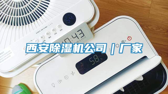 西安除濕機(jī)公司｜廠(chǎng)家