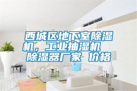西城區(qū)地下室除濕機，工業(yè)抽濕機  除濕器廠家 價格