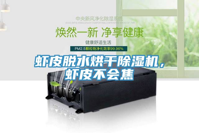 蝦皮脫水烘干除濕機(jī)，蝦皮不會(huì)焦