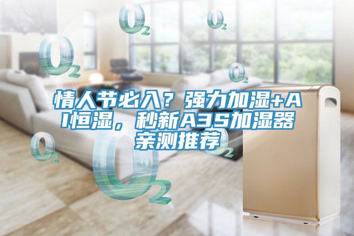 情人節(jié)必入？強力加濕+AI恒濕，秒新A3S加濕器親測推薦