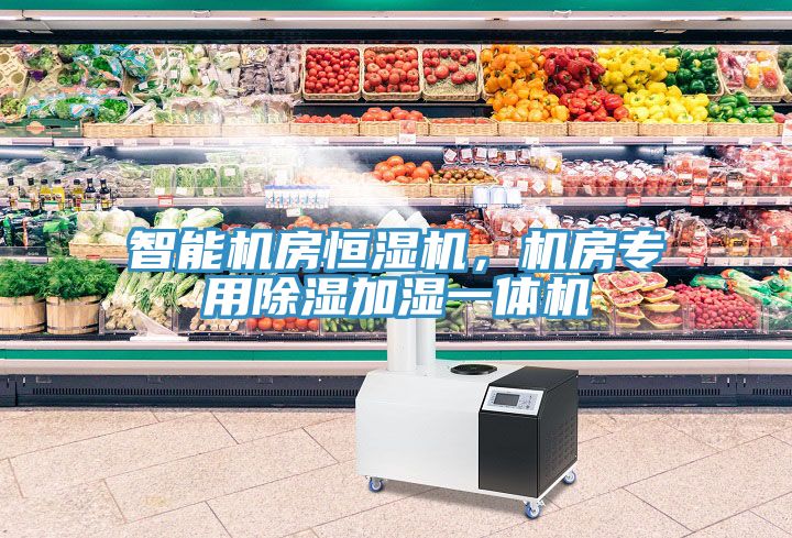智能機(jī)房恒濕機(jī)，機(jī)房專(zhuān)用除濕加濕一體機(jī)
