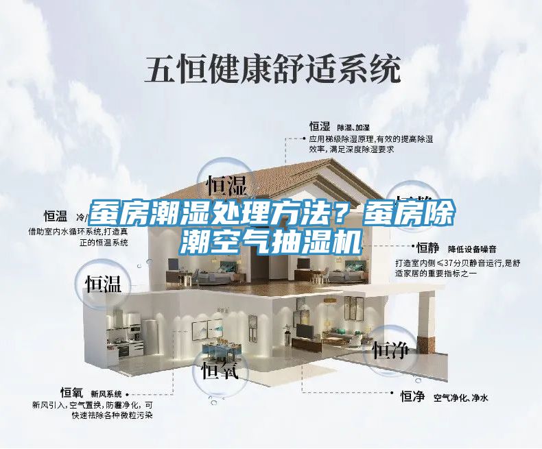 蠶房潮濕處理方法？蠶房除潮空氣抽濕機(jī)