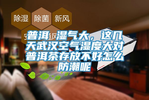 普洱 濕氣大，這幾天武漢空氣濕度大對普洱茶存放不好怎么防潮呢