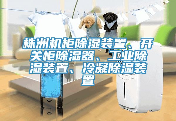 株洲機(jī)柜除濕裝置、開(kāi)關(guān)柜除濕器、工業(yè)除濕裝置、冷凝除濕裝置
