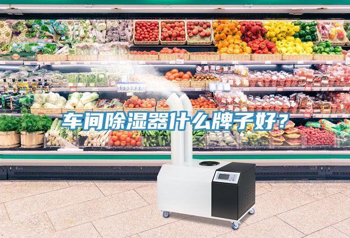 車間除濕器什么牌子好？