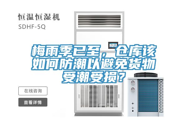 梅雨季已至，倉庫該如何防潮以避免貨物受潮受損？