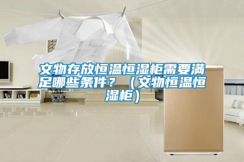 文物存放恒溫恒濕柜需要滿足哪些條件？（文物恒溫恒濕柜）