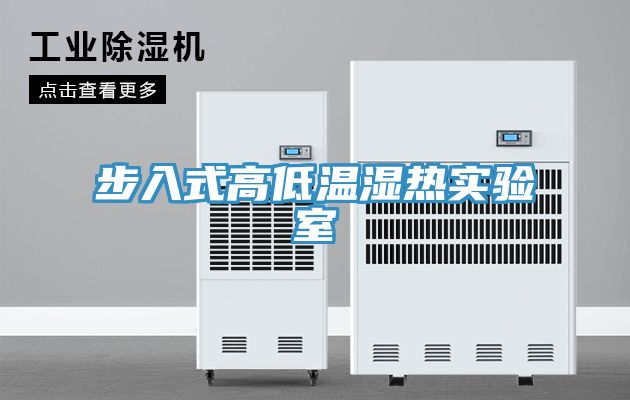 步入式高低溫濕熱實(shí)驗室