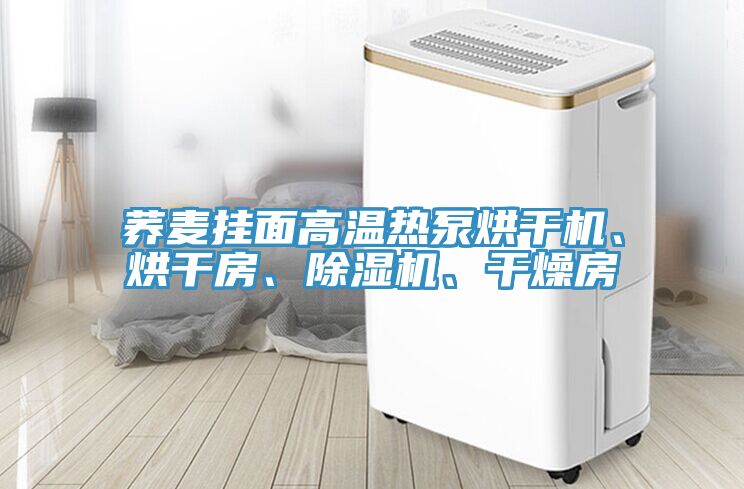 蕎麥掛面高溫?zé)岜煤娓蓹C(jī)、烘干房、除濕機(jī)、干燥房