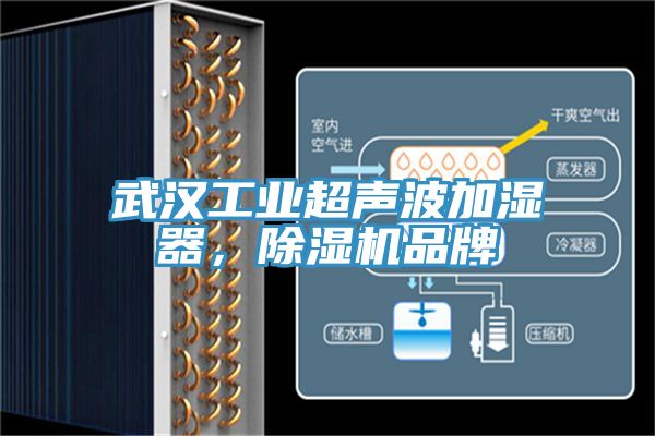 武漢工業(yè)超聲波加濕器，除濕機品牌