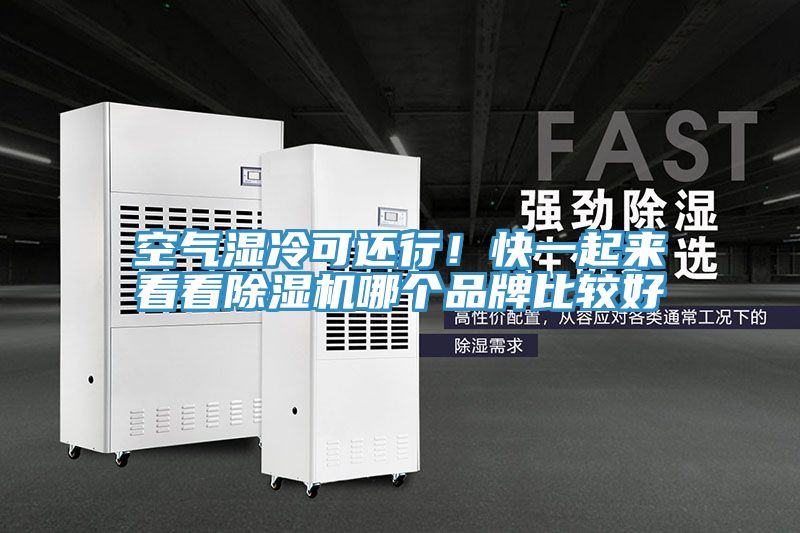 空氣濕冷可還行！快一起來(lái)看看除濕機(jī)哪個(gè)品牌比較好