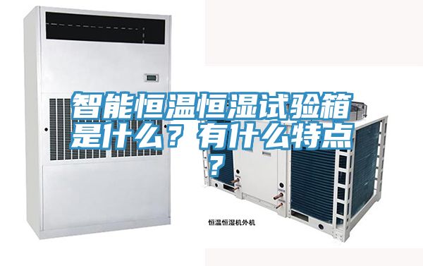 智能恒溫恒濕試驗(yàn)箱是什么？有什么特點(diǎn)？