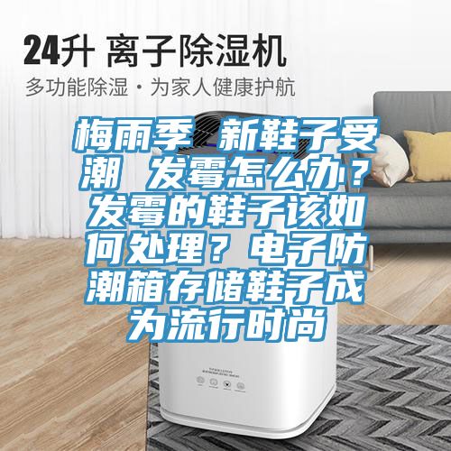 梅雨季 新鞋子受潮 發(fā)霉怎么辦？發(fā)霉的鞋子該如何處理？電子防潮箱存儲(chǔ)鞋子成為流行時(shí)尚
