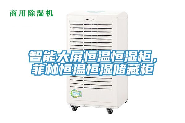 智能大屏恒溫恒濕柜，菲林恒溫恒濕儲藏柜