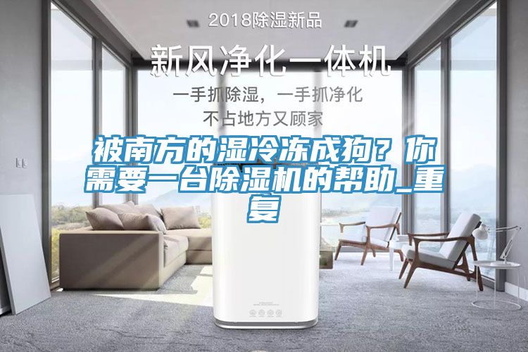 被南方的濕冷凍成狗？你需要一臺除濕機的幫助_重復