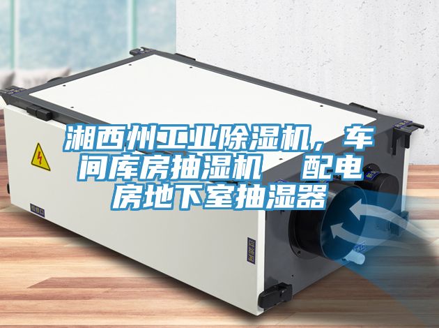 湘西州工業(yè)除濕機，車間庫房抽濕機  配電房地下室抽濕器