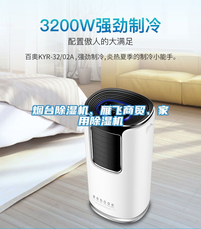 煙臺除濕機、雁飛商貿(mào)、家用除濕機
