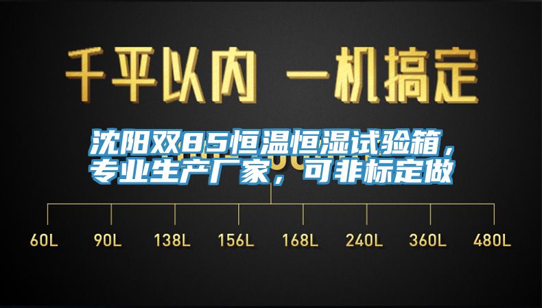 沈陽雙85恒溫恒濕試驗(yàn)箱，專業(yè)生產(chǎn)廠家，可非標(biāo)定做
