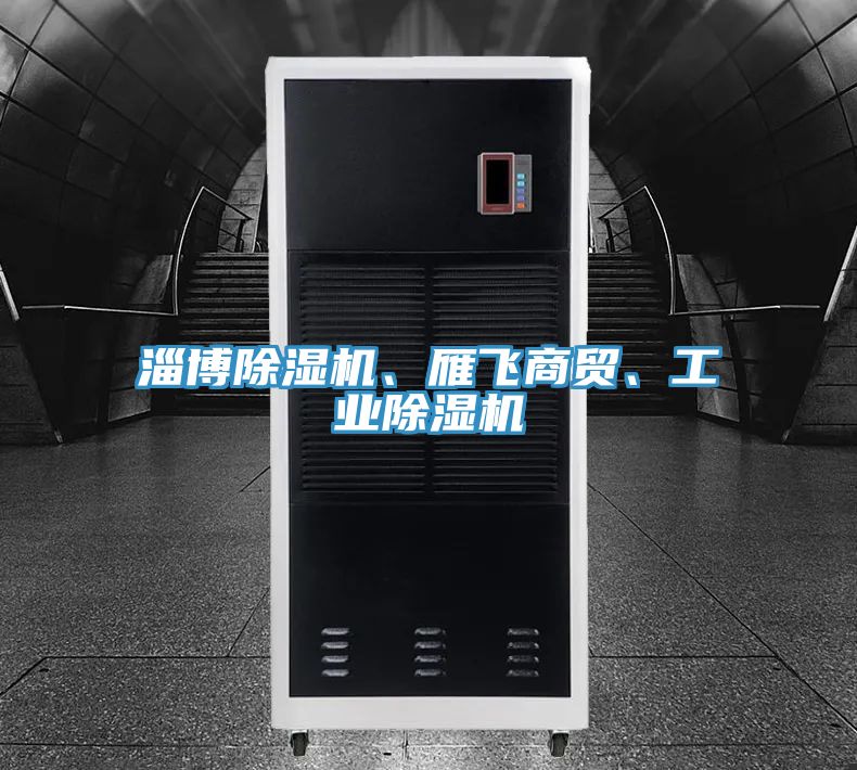 淄博除濕機(jī)、雁飛商貿(mào)、工業(yè)除濕機(jī)