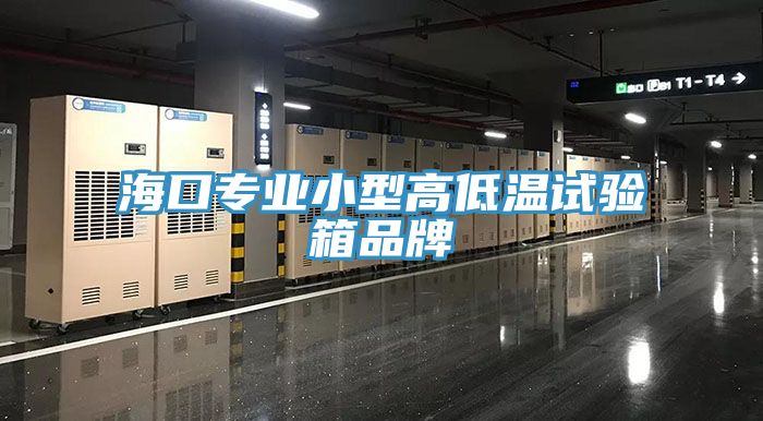 ?？趯?zhuān)業(yè)小型高低溫試驗(yàn)箱品牌