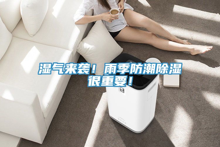 濕氣來襲！雨季防潮除濕很重要！