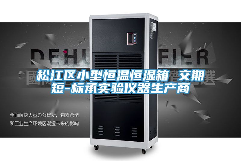 松江區(qū)小型恒溫恒濕箱 交期短-標(biāo)承實(shí)驗儀器生產(chǎn)商
