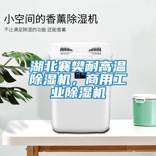 湖北襄樊耐高溫除濕機，商用工業(yè)除濕機