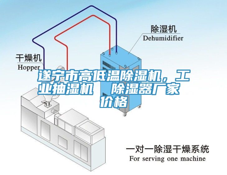 遂寧市高低溫除濕機(jī)，工業(yè)抽濕機(jī)  除濕器廠家 價(jià)格