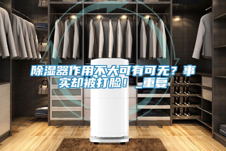 除濕器作用不大可有可無(wú)？事實(shí)卻被打臉！_重復(fù)