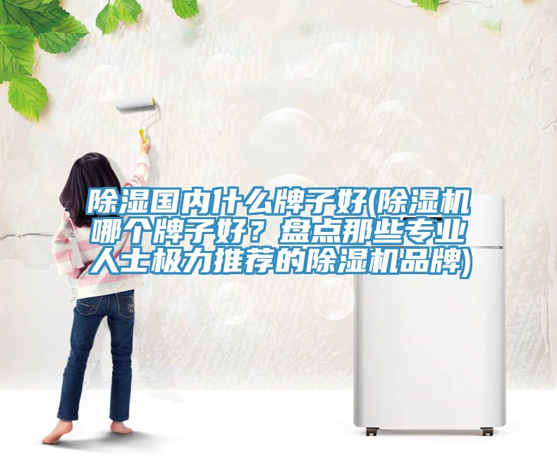 除濕國內(nèi)什么牌子好(除濕機(jī)哪個牌子好？盤點那些專業(yè)人士極力推薦的除濕機(jī)品牌)