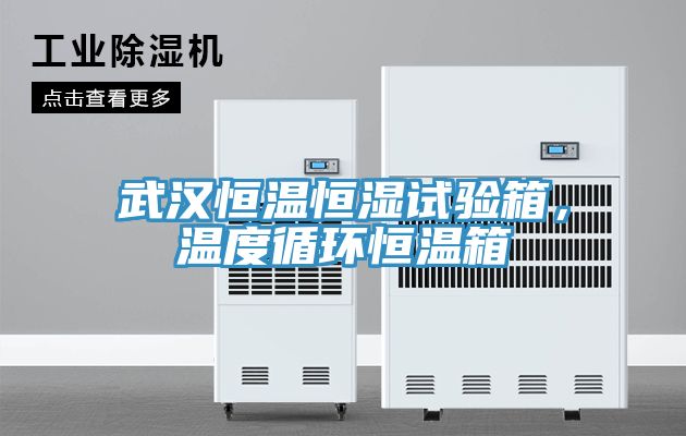 武漢恒溫恒濕試驗箱，溫度循環(huán)恒溫箱