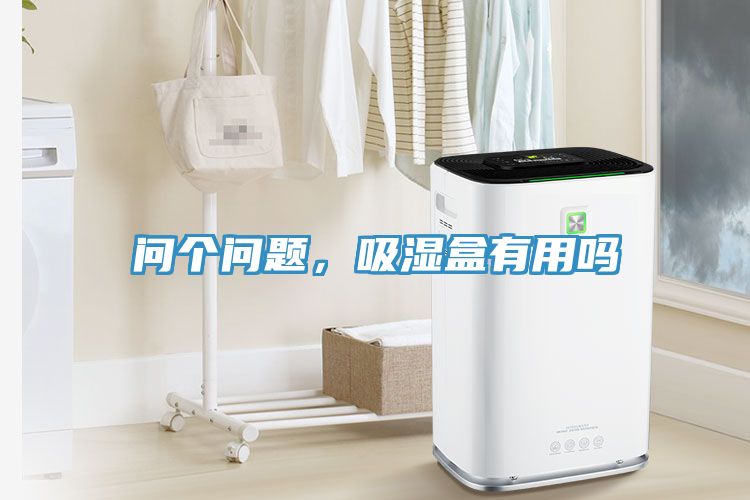 問個問題，吸濕盒有用嗎