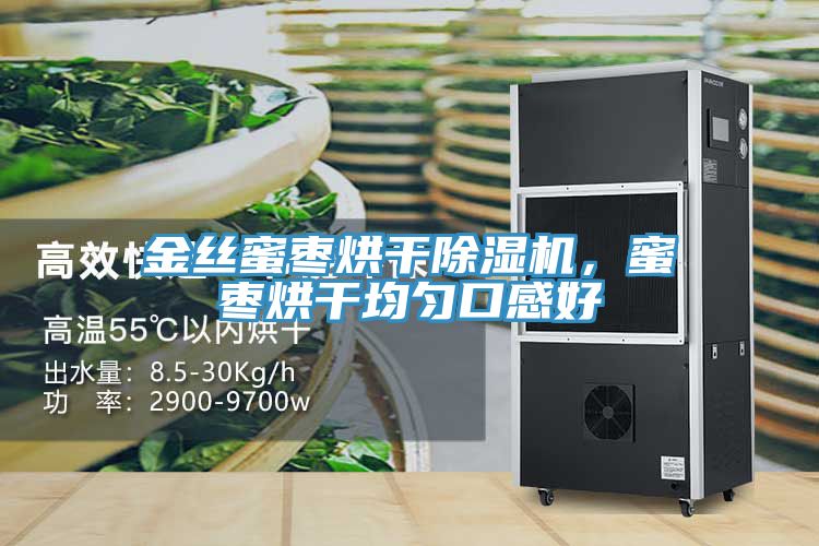 金絲蜜棗烘干除濕機，蜜棗烘干均勻口感好